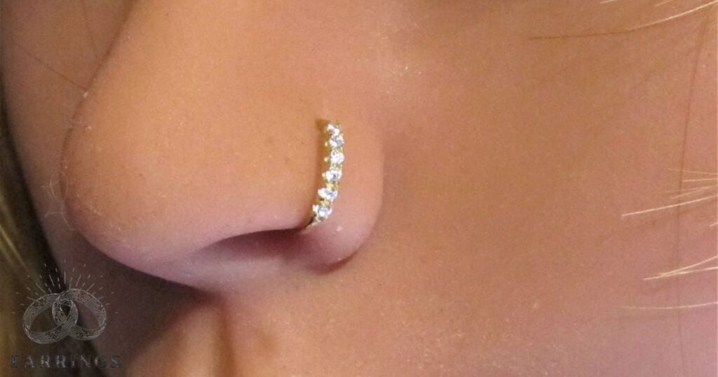 Can You Use An Earring As A Nose Stud?
